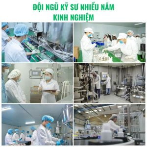 dau-goi-co-non-viet-nam