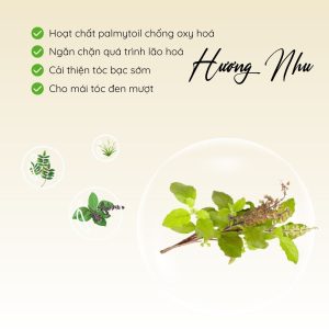 Hướng dẫn sử dụng dầu gội thảo dược cỏ non