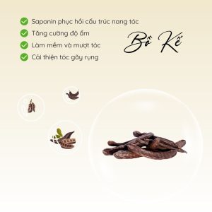 Thành Phần Bồ Kết Dầu Gội Cỏ Non