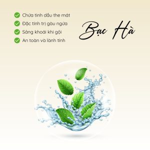 Thành Phần bạc hà trong dầu gội cỏ non