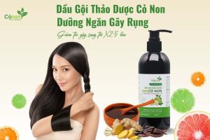 dau-goi-thao-duoc-co-non