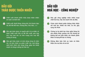 dau-goi-thao-duoc-co-non