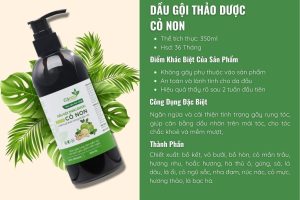 dau-goi-thao-duoc-co-non