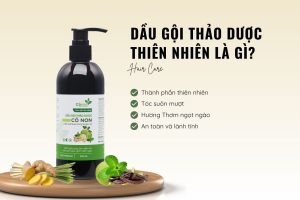 dau-goi-co-non-tri-toc-bet