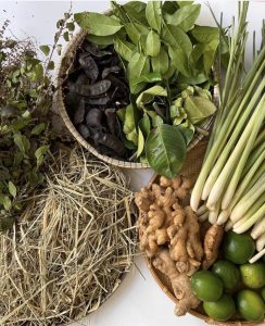 nấu dầu gội thảo dược cỏ non