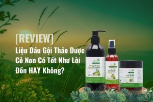 Dầu gội thảo dược - dầu gội công nghiệp2