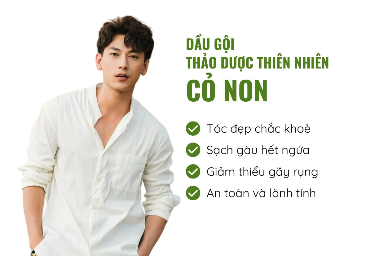 dau-goi-thao-duoc-co-non