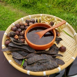 dau-goi-tri-gau-co-non