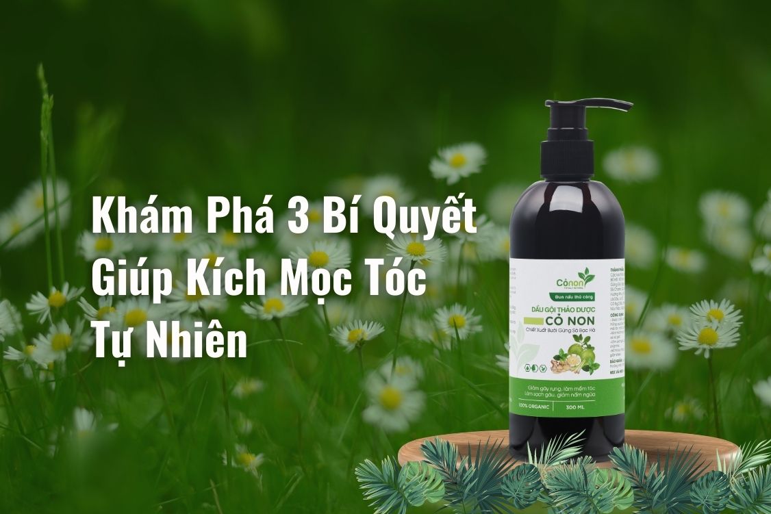 dau-goi-thao-duoc-co-non