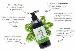 dau-goi-tri-gau-co-non