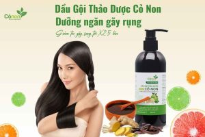 dau-goi-tri-gau-co-non2