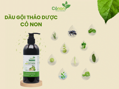 Dầu gội thảo dược Sả chanh Cỏ Non