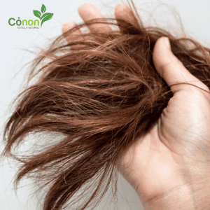 tóc bị chẻ ngọn