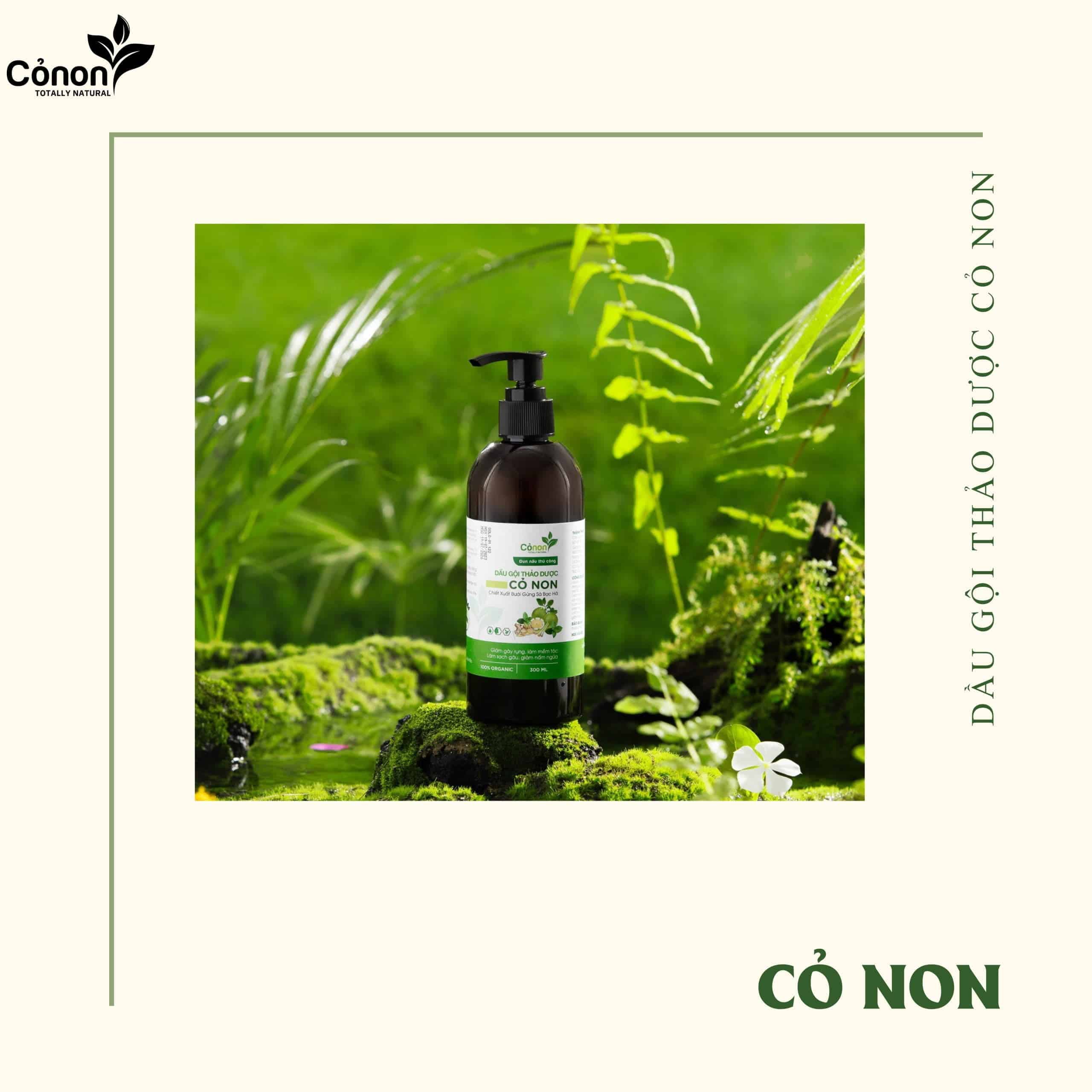 Dầu gội thảo dược thiên nhiên Cỏ Non