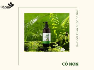 Dầu gội thảo dược thiên nhiên Cỏ Non