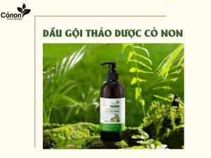 Dầu gội thảo dược thiên nhiên Cỏ Non