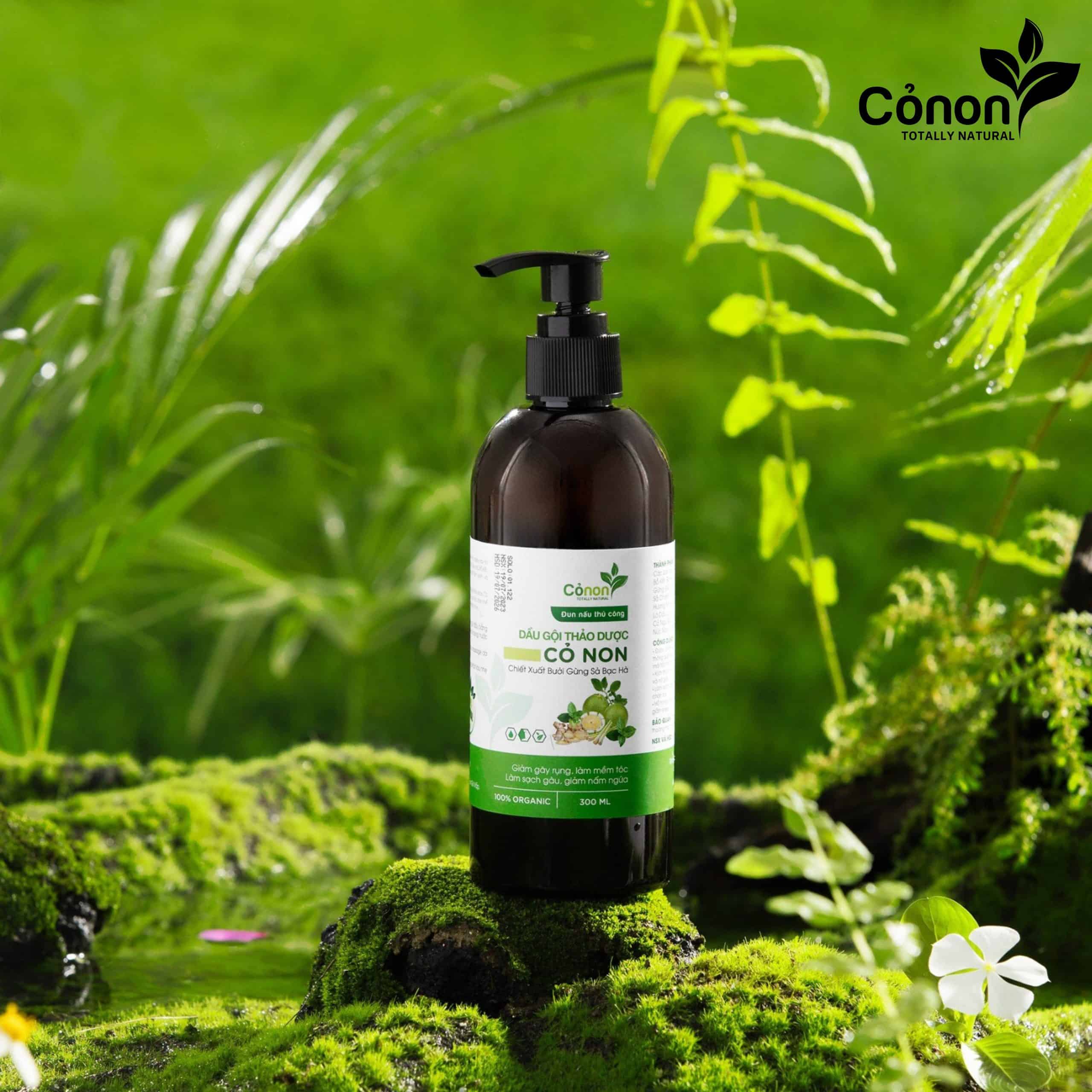 Dầu gội thảo dược hàn quốc Cỏ Non