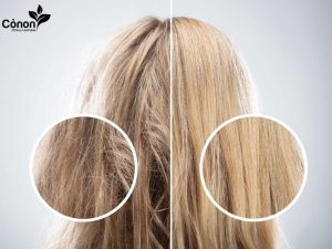 Phục hồi tóc hư tổn
