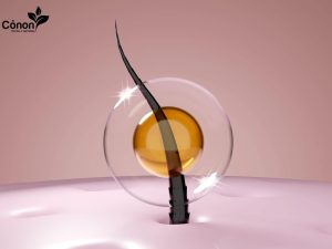 Tăng cường độ ẩm cho mái tóc