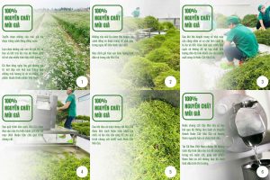 nước mùi già sản xuất
