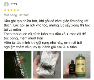 dau-goi-trac-ba-diep-gung-lavia