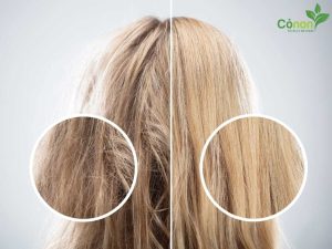 Trước và sau khi sử dụng combo chăm sóc tóc Cỏ Non