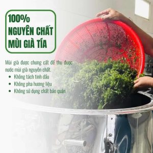 nước cất mùi già