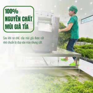 nước cất mùi già