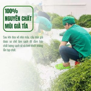 nước cất mùi già