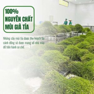 nước cất mùi già