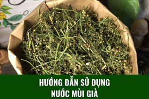 hướng dẫn sử dụng nước mùi già