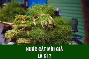 Nước mùi già