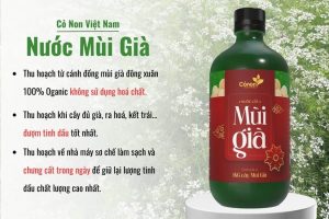 nước mùi già