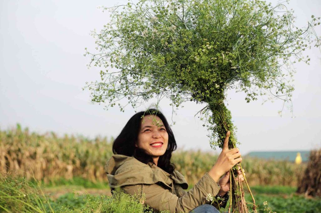 nước mùi già trong đông y