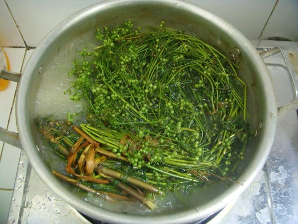 tắm nước mùi già