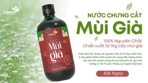 Nước Mùi Già Chưng Cất