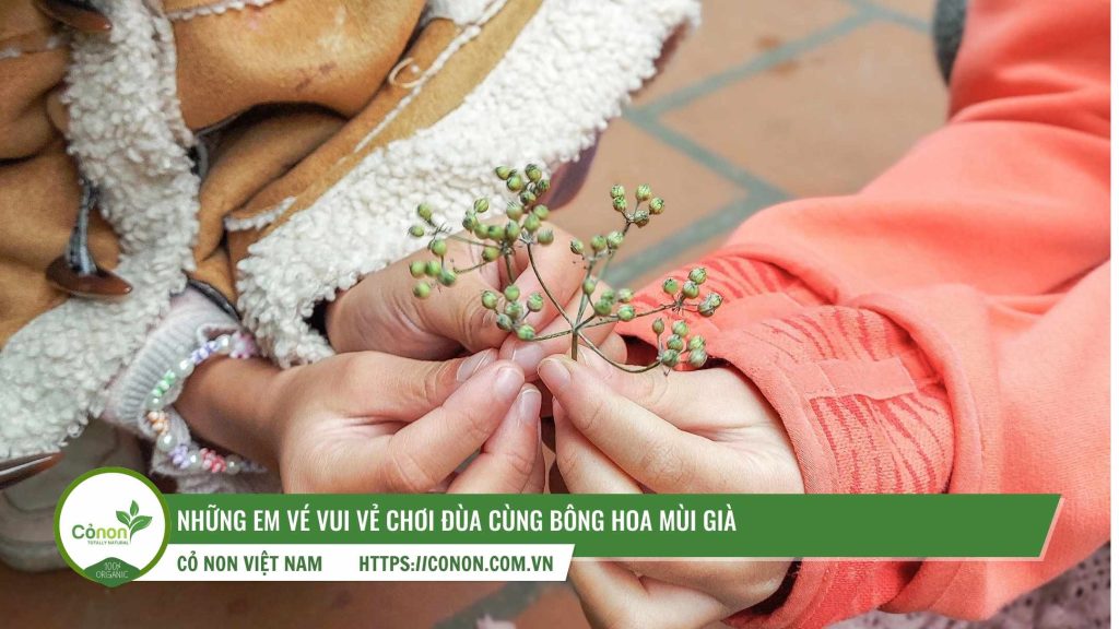 nguyên liệu cho nồi nước mùi già tết