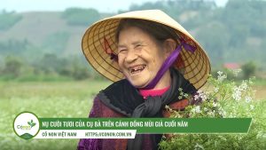 tắm nước mùi già cuối năm