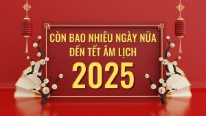CÒN BAO NHIÊU NGÀY NỮA ĐẾN TẾT ÂM LỊCH