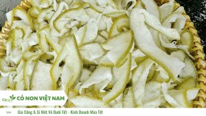 Gia Công & Sỉ Mứt Vỏ Bưởi Tết 2025 - Kinh Doanh Mùa Tết