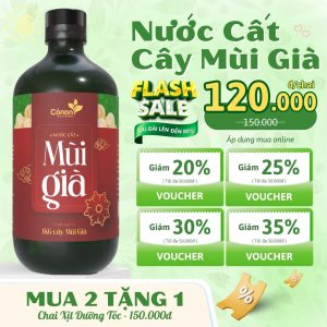 nước lau bàn thờ nước mùi già